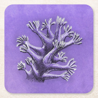 Dessous-de-verre Carré En Papier Corail Reef Purple Marine Biologie Art