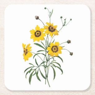 Dessous-de-verre Carré En Papier coréopsis(Coreopsis elegans) par Redouté