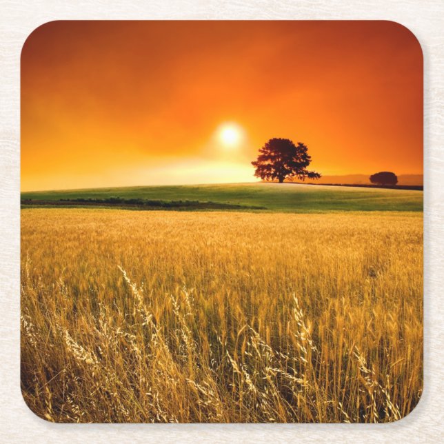 Dessous-de-verre Carré En Papier Coucher du soleil rouge sang (Devant)