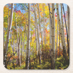 Dessous-de-verre Carré En Papier Couleurs d'automne des arbres d'Aspen 5