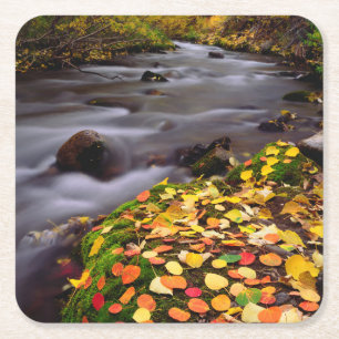 Dessous-de-verre Carré En Papier Couleurs d'automne le long de McGee Creek