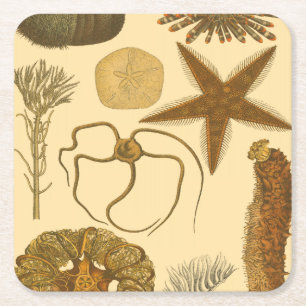 Dessous-de-verre Carré En Papier Créatures sous-marines de mer