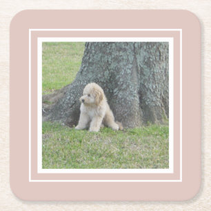 Dessous-de-verre Carré En Papier Créez Votre Propre Modèle de Photo Rose et Blanc