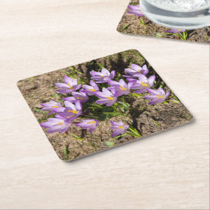 Dessous-de-verre Carré En Papier Crocus de printemps mignons