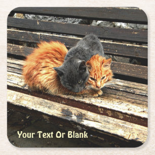 Dessous-de-verre Carré En Papier Cuisses Catnap