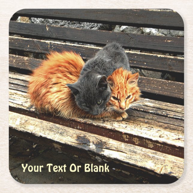 Dessous-de-verre Carré En Papier Cuisses Catnap (Devant)