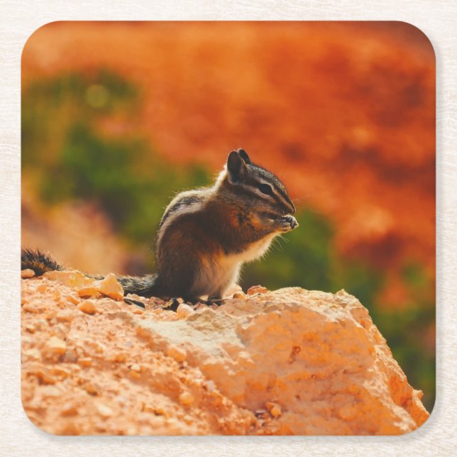 Dessous-de-verre Carré En Papier Cute Chipmunk (Devant)