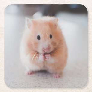 Dessous-de-verre Carré En Papier Cute Hamster Love Animals