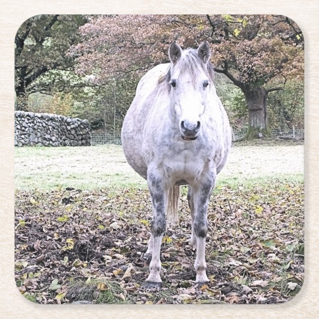 DESSOUS-DE-VERRE CARRÉ EN PAPIER CUTE HORSE (Devant)