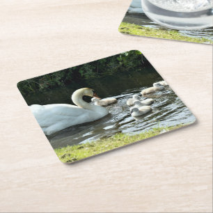 Dessous-de-verre Carré En Papier Cygne blanc avec poules