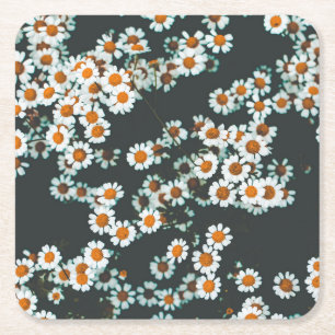 Dessous-de-verre Carré En Papier Daisy Daisies Floral