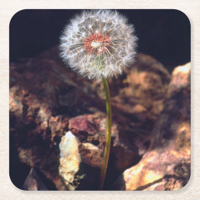 Dessous-de-verre Carré En Papier Dandelion (Devant)