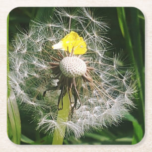 Dessous-de-verre Carré En Papier Dandelion mignon