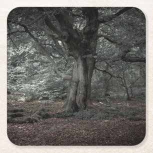 Dessous-de-verre Carré En Papier Dans la forêt de contes de fées