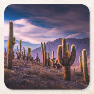 Dessous-de-verre Carré En Papier Deserts   Cactus Landscape Argentina