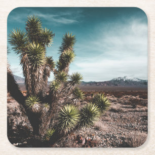 Dessous-de-verre Carré En Papier Deserts Cholla