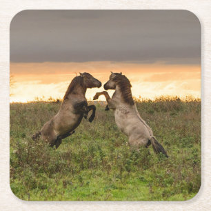 Dessous-de-verre Carré En Papier Dessous de verre caracolants de chevaux sauvages