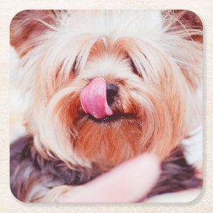 Dessous-de-verre Carré En Papier Dessous de verre de chien mignons 5