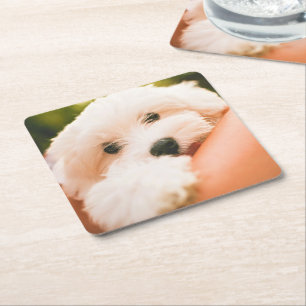 Dessous-de-verre Carré En Papier Dessous de verre de chiens mignons 2