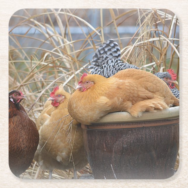 Dessous-de-verre Carré En Papier Dessous de verre de la fête du poulet (Devant)