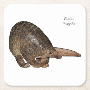 Dessous-de-verre Carré En Papier Dessous de verre de Pangolin de Sunda