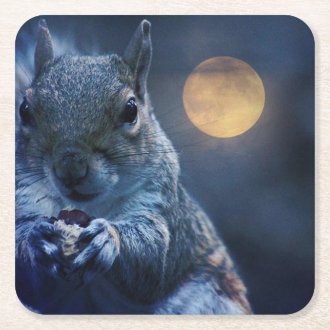 Dessous-de-verre Carré En Papier dessous de verre d'écureuil (Devant)
