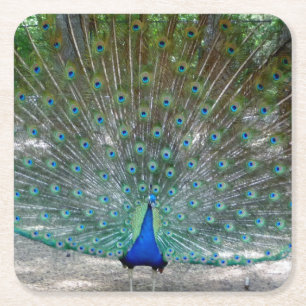 Dessous-de-verre Carré En Papier Dessous de verre du parti Peacock