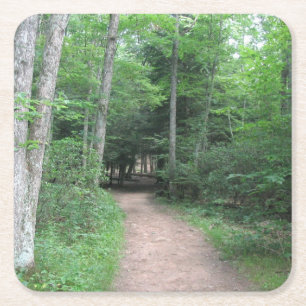 Dessous-de-verre Carré En Papier Dessous de verre du parti Woodsy Path