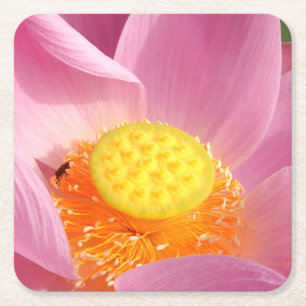 Dessous-de-verre Carré En Papier Dessous de verre en papier à couche d'eau