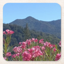 Dessous de verre en papier Mt Tamalpais aux fleurs