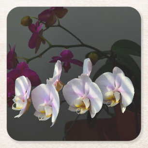 Dessous-de-verre Carré En Papier Dessous de verre en papier orchidée