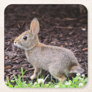 Dessous-de-verre Carré En Papier Dessous de verre lapin bébé