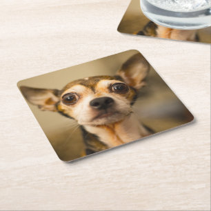 Dessous-de-verre Carré En Papier Dessous de verre mignons 10 de chien