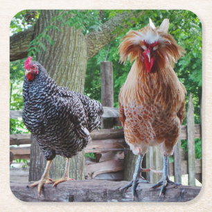 Dessous-de-verre Carré En Papier Dessous de verre Rooster et Hen