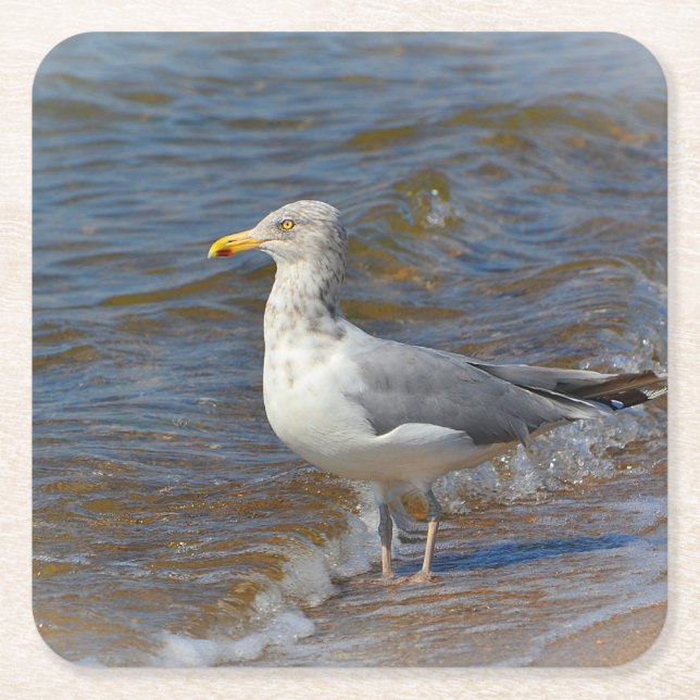Dessous-de-verre Carré En Papier Dessous de verre Seagull Party (Devant)