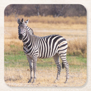 Dessous-de-verre Carré En Papier Dessous de verre Zebra