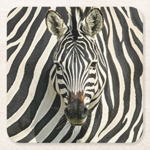 Dessous-de-verre Carré En Papier Dessous de verre Zebra