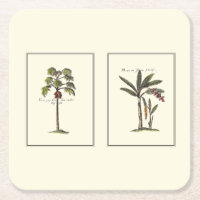 Deux mini palmiers encadrés