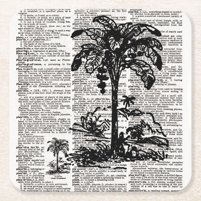 Dessous-de-verre Carré En Papier Dictionary Art Palm Tree (Devant)