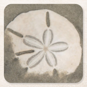 Dessous-de-verre Carré En Papier Dollar de sable (Echinarachnius parma)