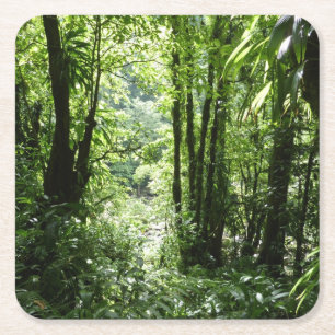 Dessous-de-verre Carré En Papier Dominicain Forêt de pluie II Vert tropical