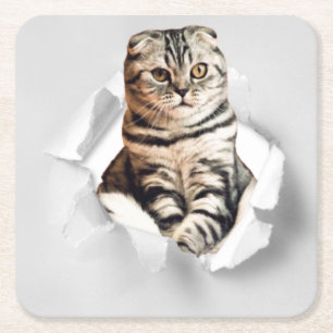Dessous-de-verre Carré En Papier Drôle Gray Cat Popping à travers l'illusion du pap