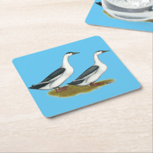 Dessous-de-verre Carré En Papier Ducks : Blue Magpies