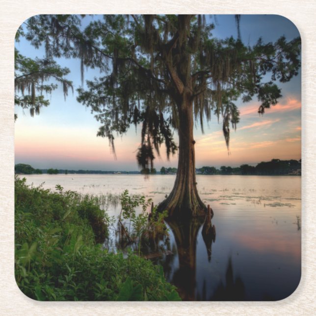 Dessous-de-verre Carré En Papier Eau | Kraft Azalea Park Maitland Floride (Devant)