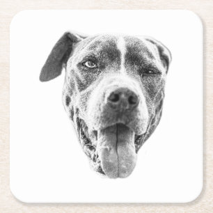 Dessous-de-verre Carré En Papier Echo Canine Canine Chiline