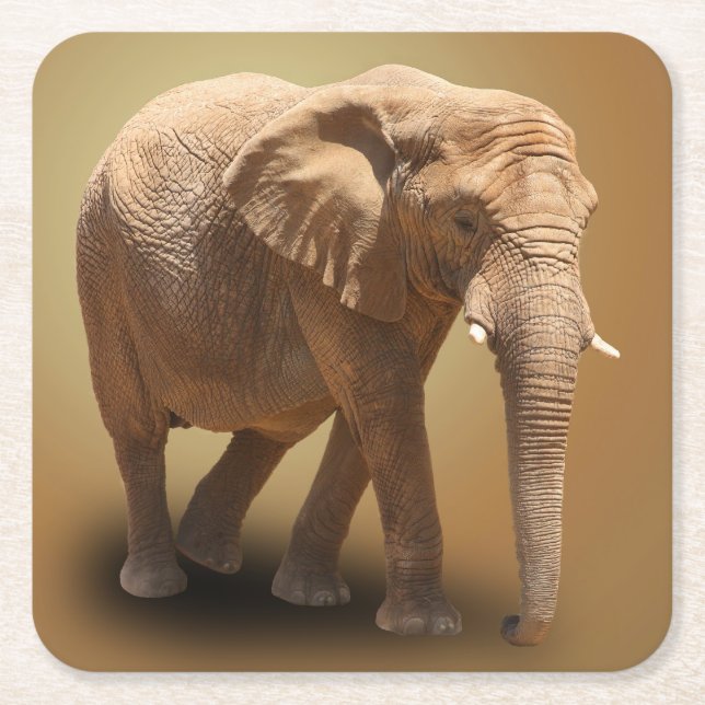 DESSOUS-DE-VERRE CARRÉ EN PAPIER ÉLÉPHANT (Devant)