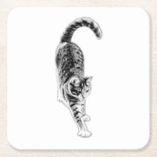 Dessous-de-verre Carré En Papier Ensemble de Dessous de verre de chats étants paisi