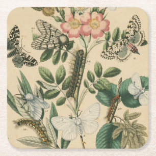 Dessous-de-verre Carré En Papier Étapes de la vie de papillon par le studio de