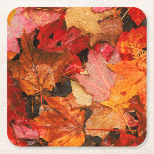 Dessous-de-verre Carré En Papier États-Unis, Maine. Feuilles d'érable en automne