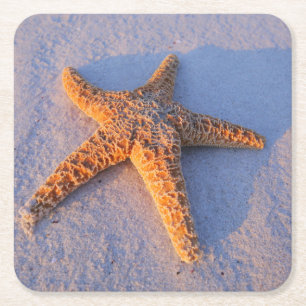 Dessous-de-verre Carré En Papier Étoiles de mer sur le sable blanc